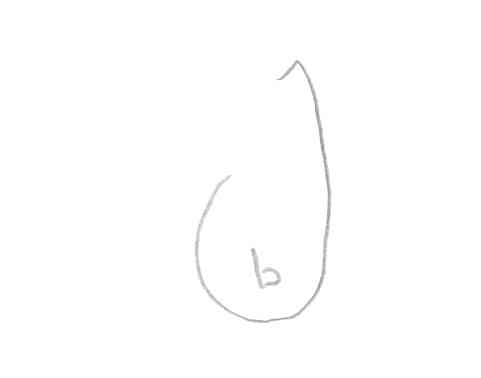 Hook:  Fotomahech