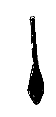 Paddle:  Fatur Umarau